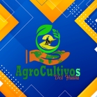 diseno de paginas web en barranquilla
